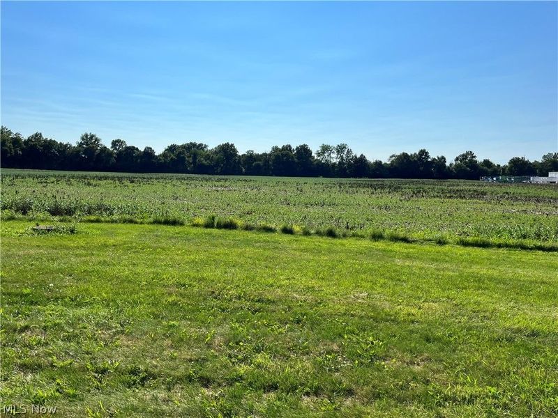 Black Jack Road, Mount Vernon, OH 43050 Photo 2