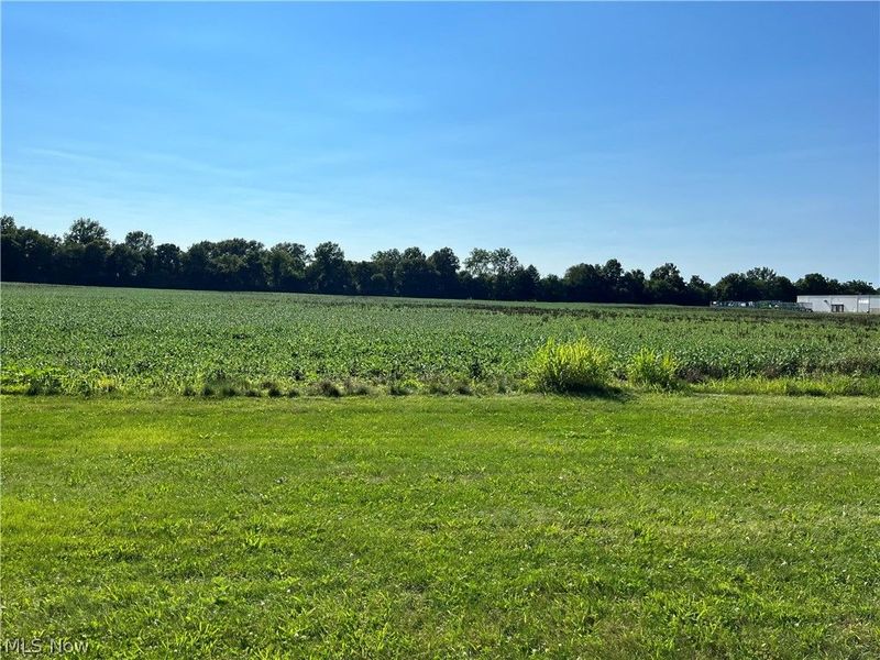 Black Jack Road, Mount Vernon, OH 43050 Photo 3