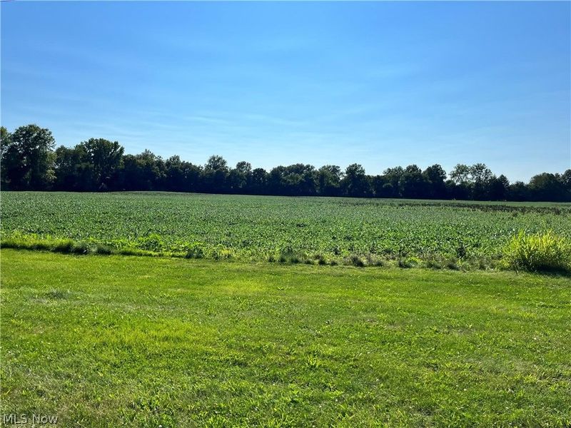 Black Jack Road, Mount Vernon, OH 43050 Photo 4