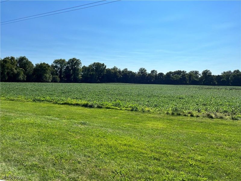 Black Jack Road, Mount Vernon, OH 43050 Photo 5