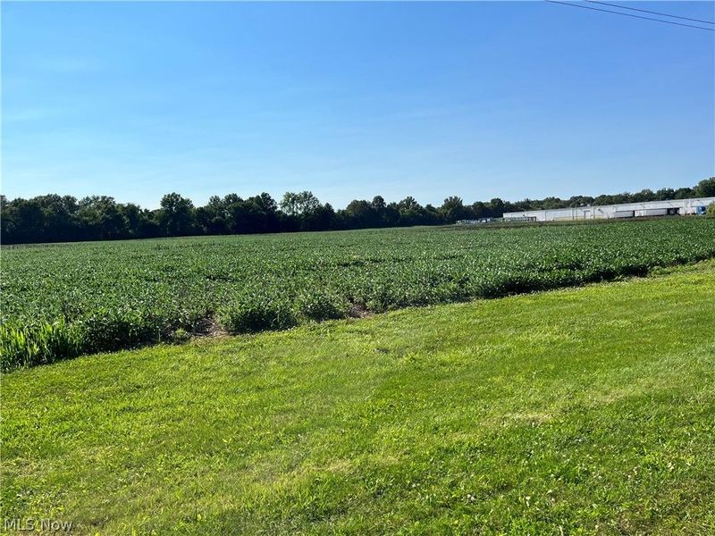 Black Jack Road, Mount Vernon, OH 43050 Photo 6