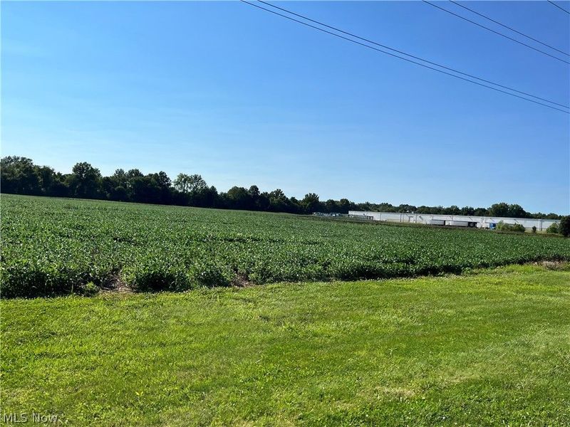 Black Jack Road, Mount Vernon, OH 43050 Photo 7