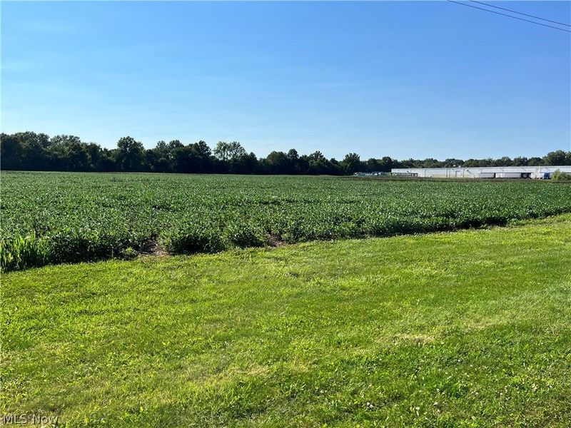 Black Jack Road, Mount Vernon, OH 43050 Photo 8