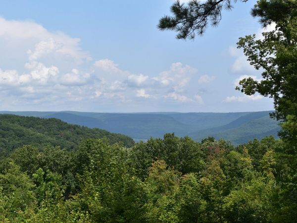 0 River Bend Road, Guild, TN 37340