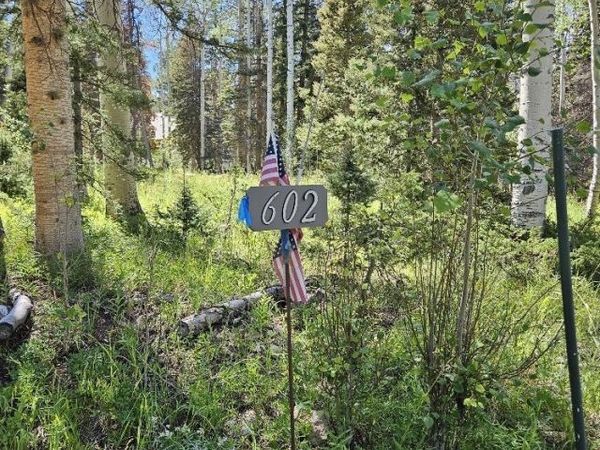 602 Snowshoe Lane, Cimarron, CO 81220