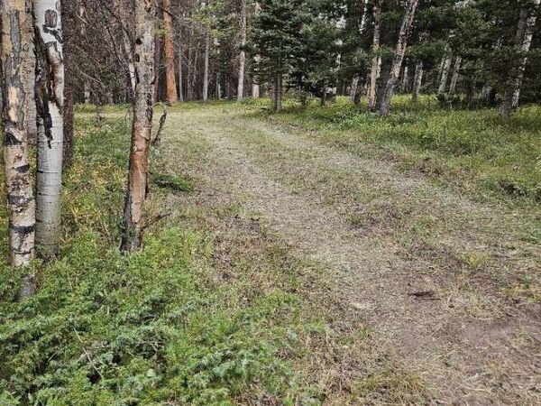 620 Balsam Road, Cimarron, CO 81220