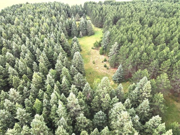 TBD- Parcel C Sleepy Hollow Road , Brainerd, MN 56401