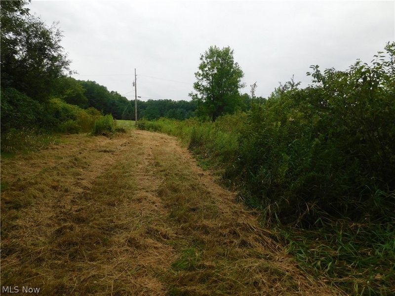 Hyde Road, Rome, OH 44085 Photo 10