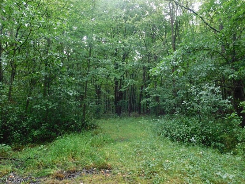 Hyde Road, Rome, OH 44085 Photo 3