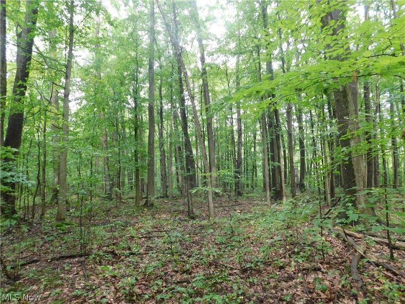 Hyde Road, Rome, OH 44085 Photo 5