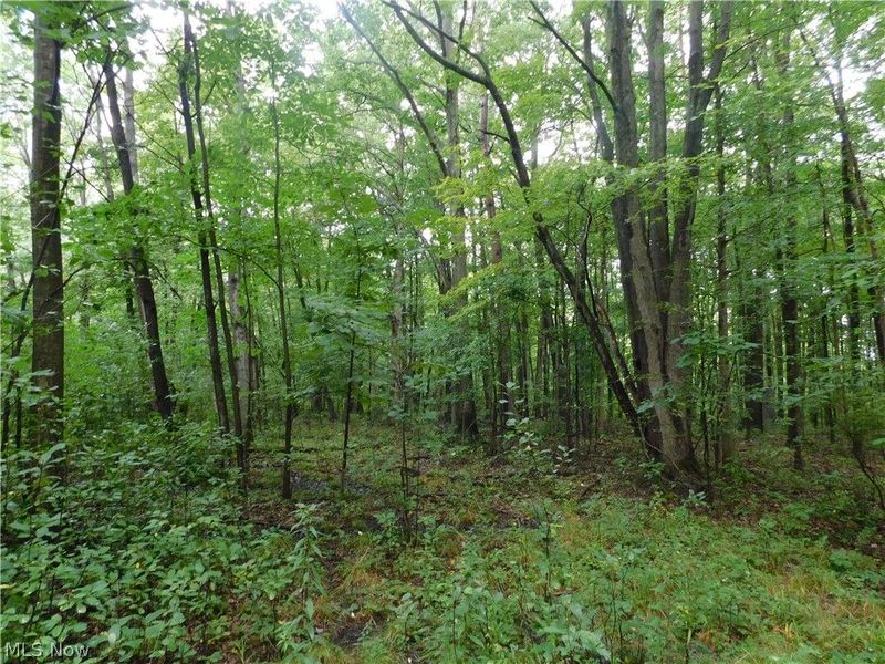 Hyde Road, Rome, OH 44085 Photo 6