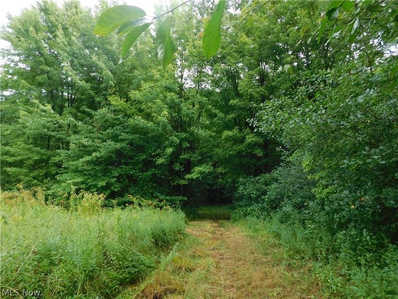Hyde Road, Rome, OH 44085 Photo 7