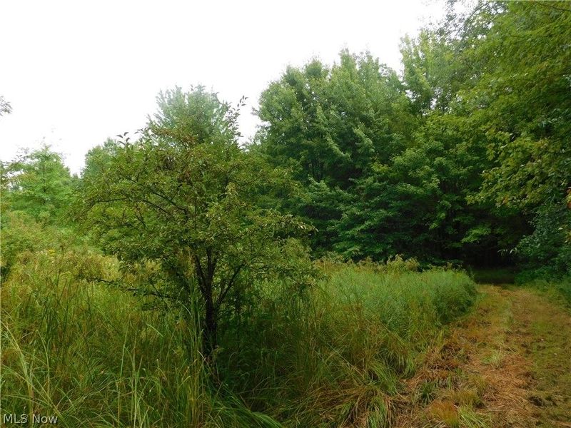 Hyde Road, Rome, OH 44085 Photo 9