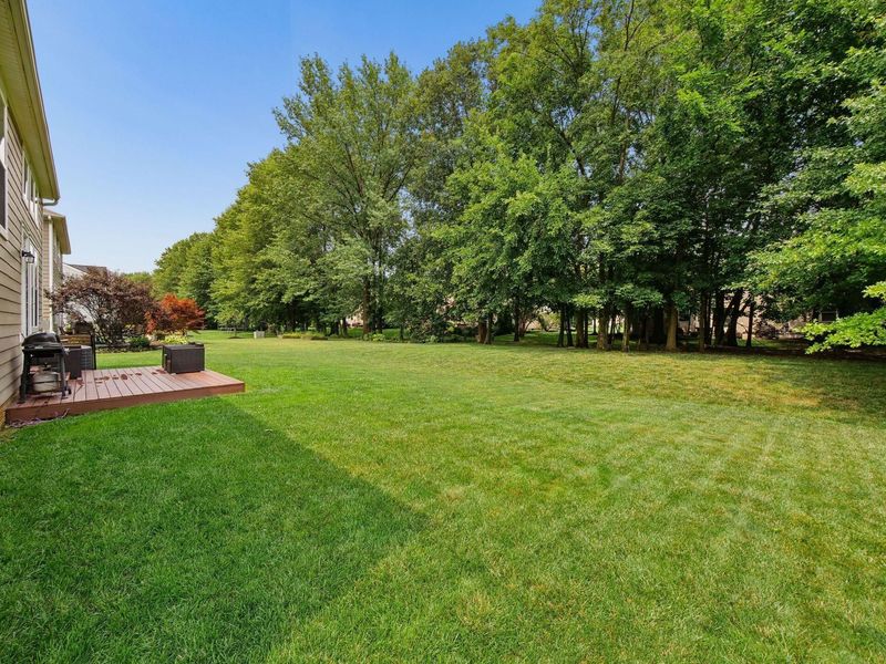 2027 Tulip Way, Lewis Center, OH 43035 Photo 46
