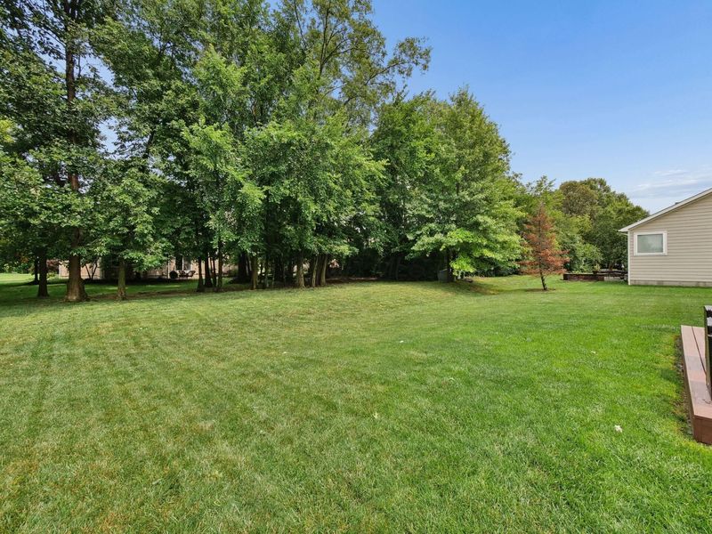 2027 Tulip Way, Lewis Center, OH 43035 Photo 51