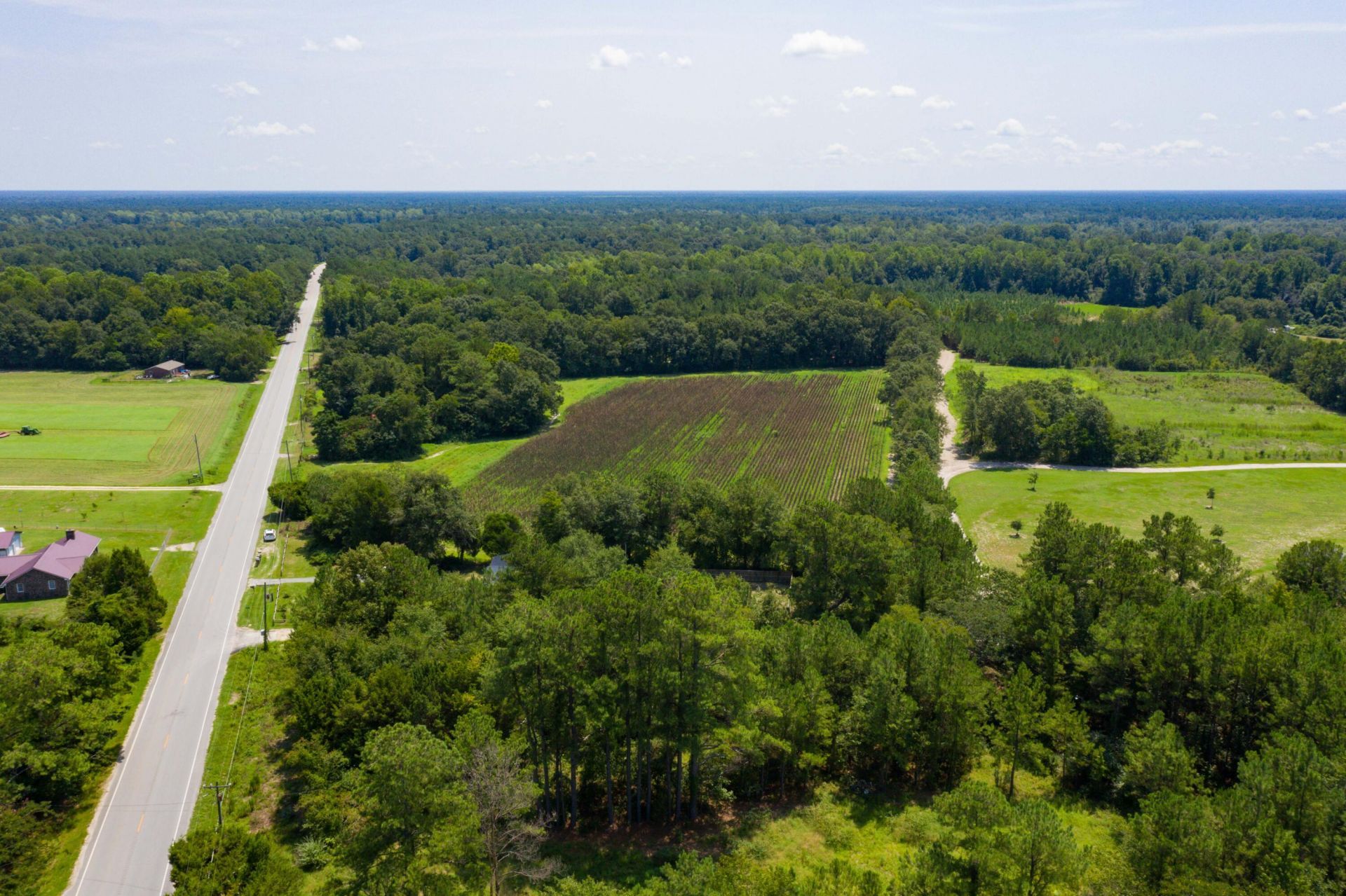 3487 Santee River Road Photo 14