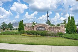 1137 Coopers Ridge Lane photo 4