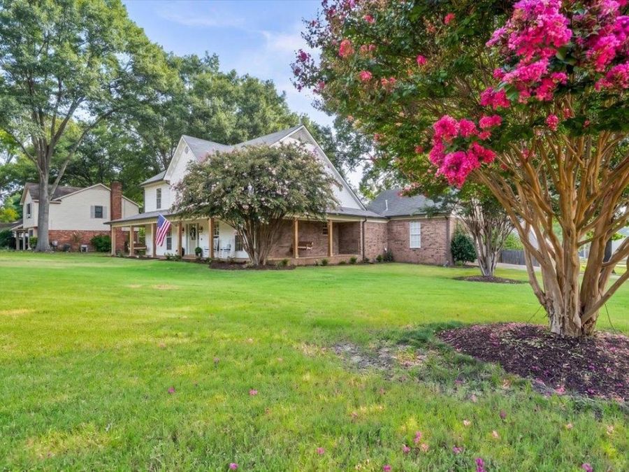 Property Image 5