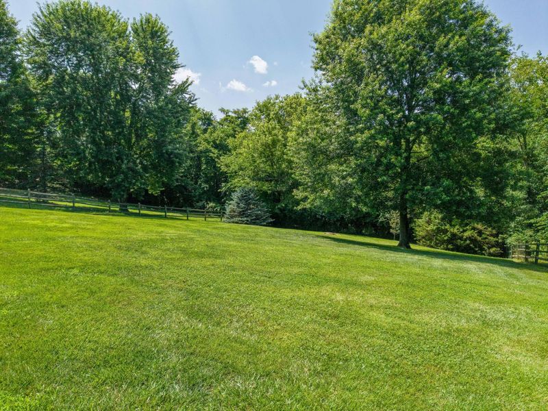 80 Roselawn Drive, Independence, KY 41051 Photo 38