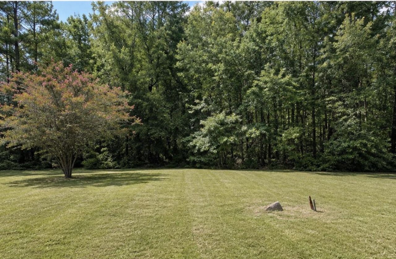320 Kitfield Road Photo 5