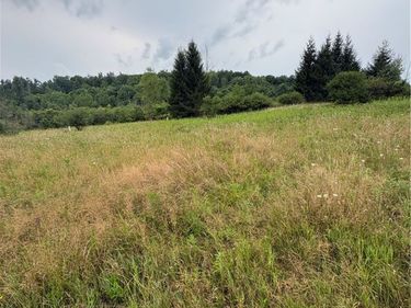 8605 - Lot 1 County Route 96, Hammondsport, NY 14840