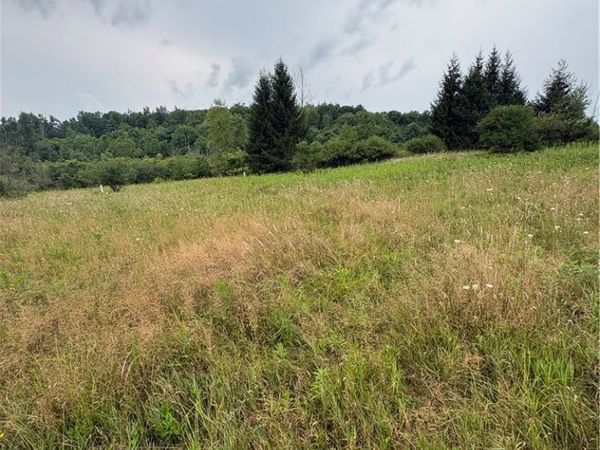 8605 - Lot 1 County Route 96, Hammondsport, NY 14840