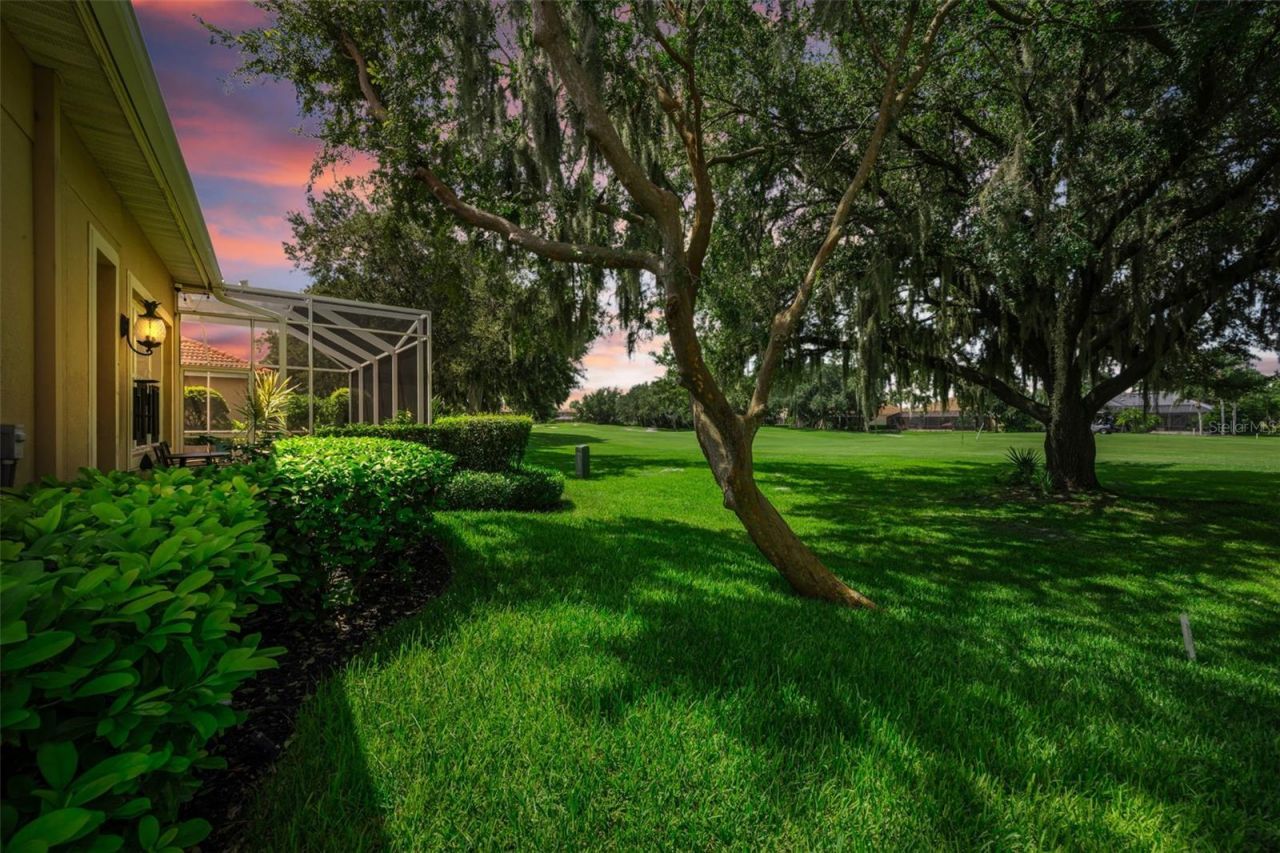 1453 El Pardo Drive, Trinity, FL 34655 Photo