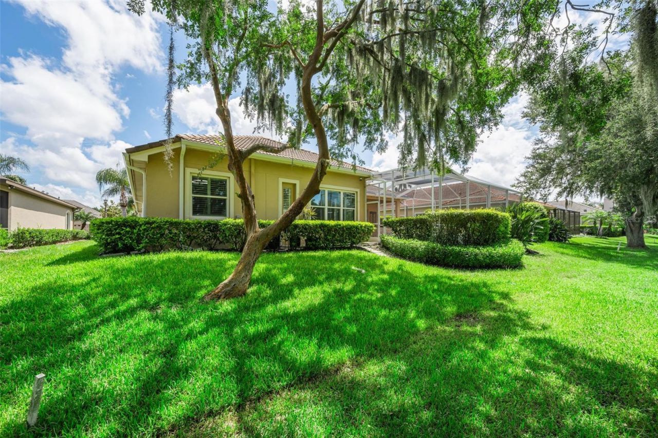 1453 El Pardo Drive, Trinity, FL 34655 Photo