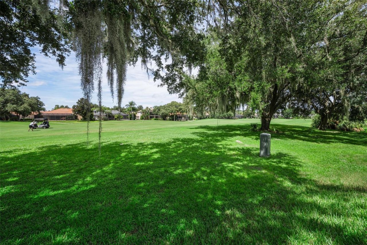 1453 El Pardo Drive, Trinity, FL 34655 Photo