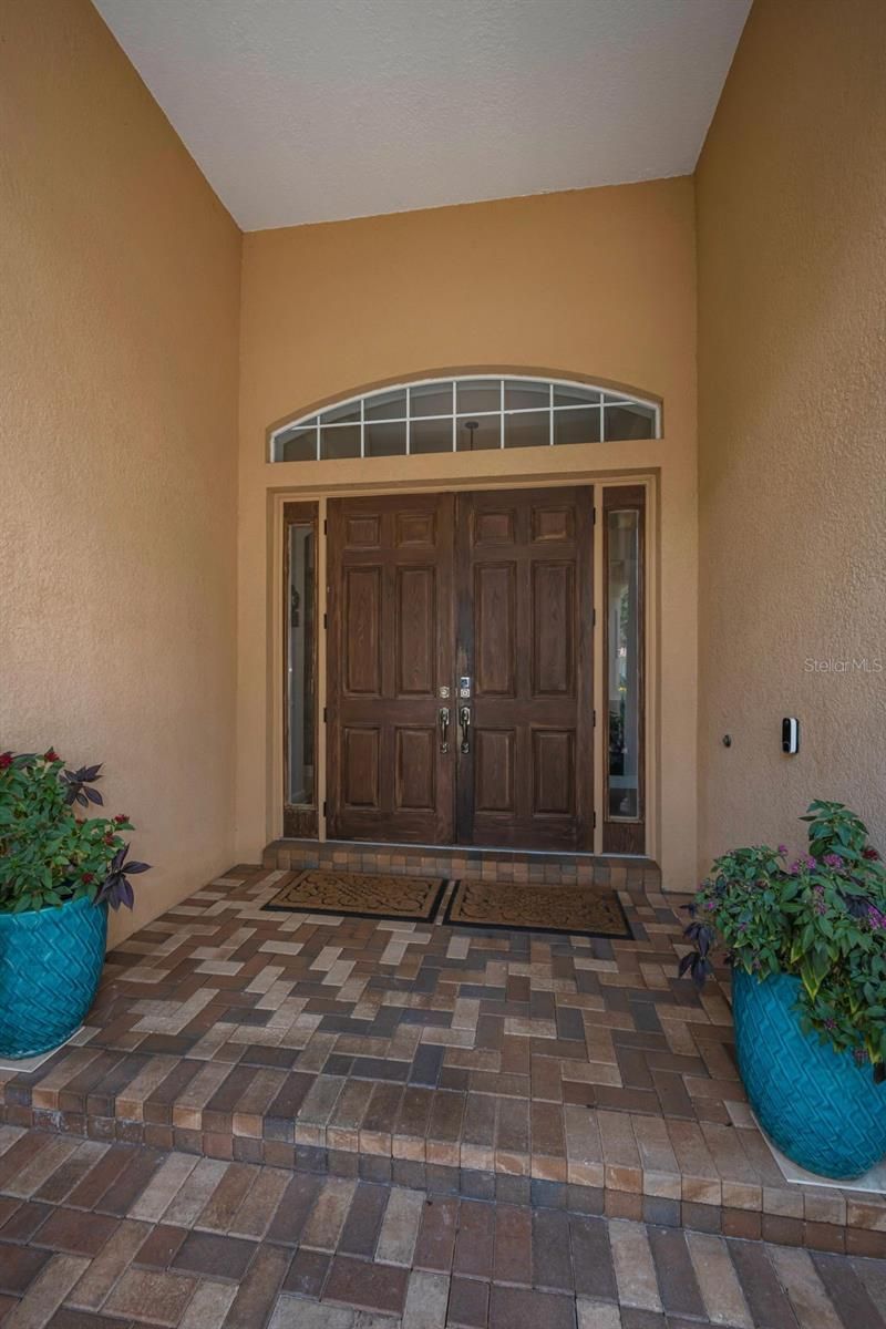 1453 El Pardo Drive, Trinity, FL 34655 Photo