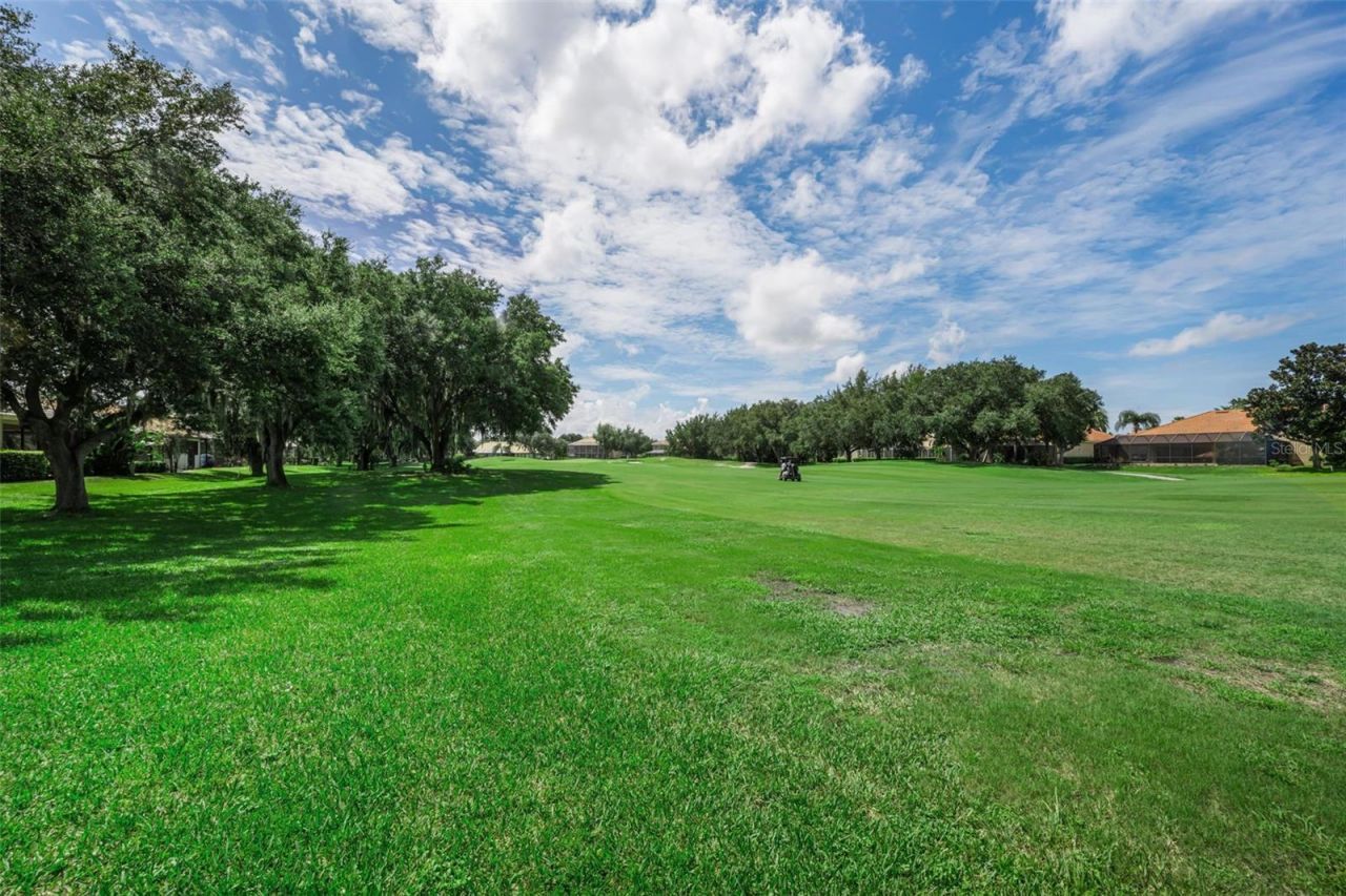1453 El Pardo Drive, Trinity, FL 34655 Photo