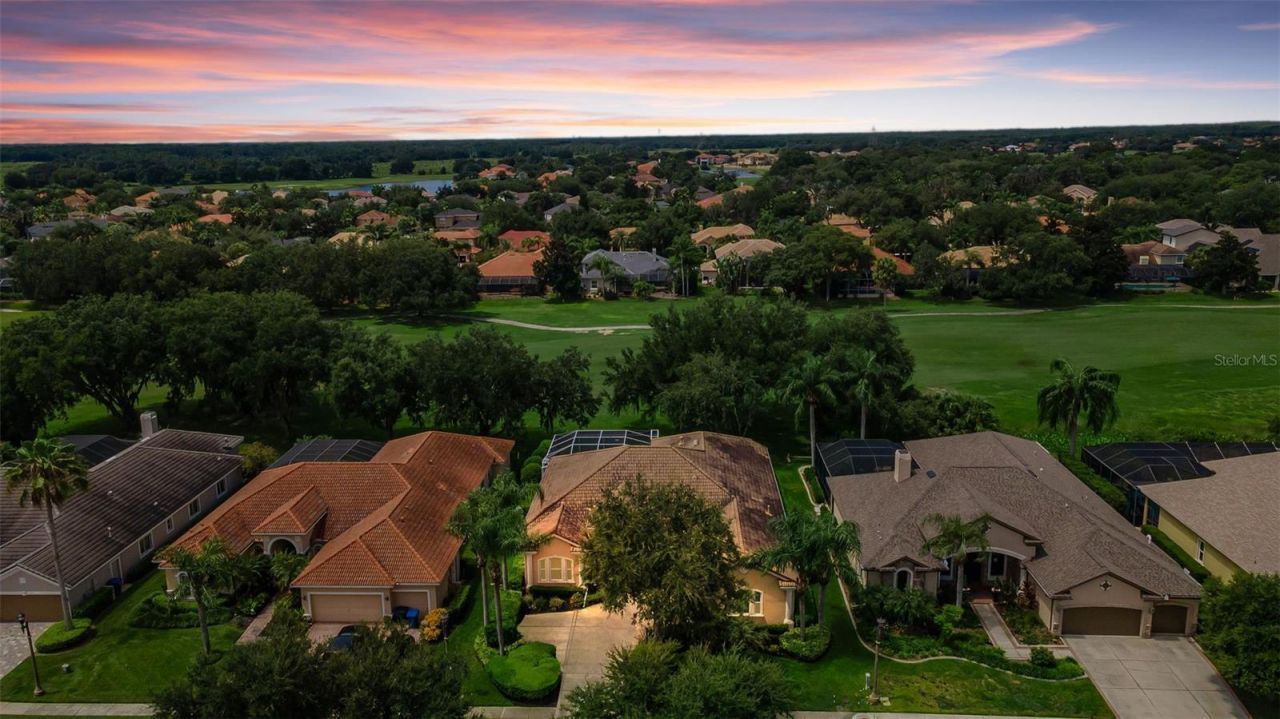1453 El Pardo Drive, Trinity, FL 34655 Photo