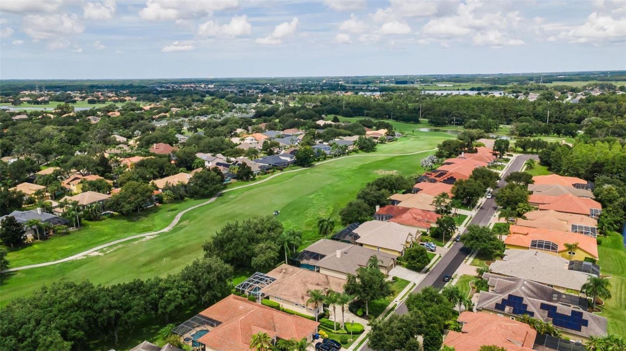 1453 El Pardo Drive, Trinity, FL 34655 Photo