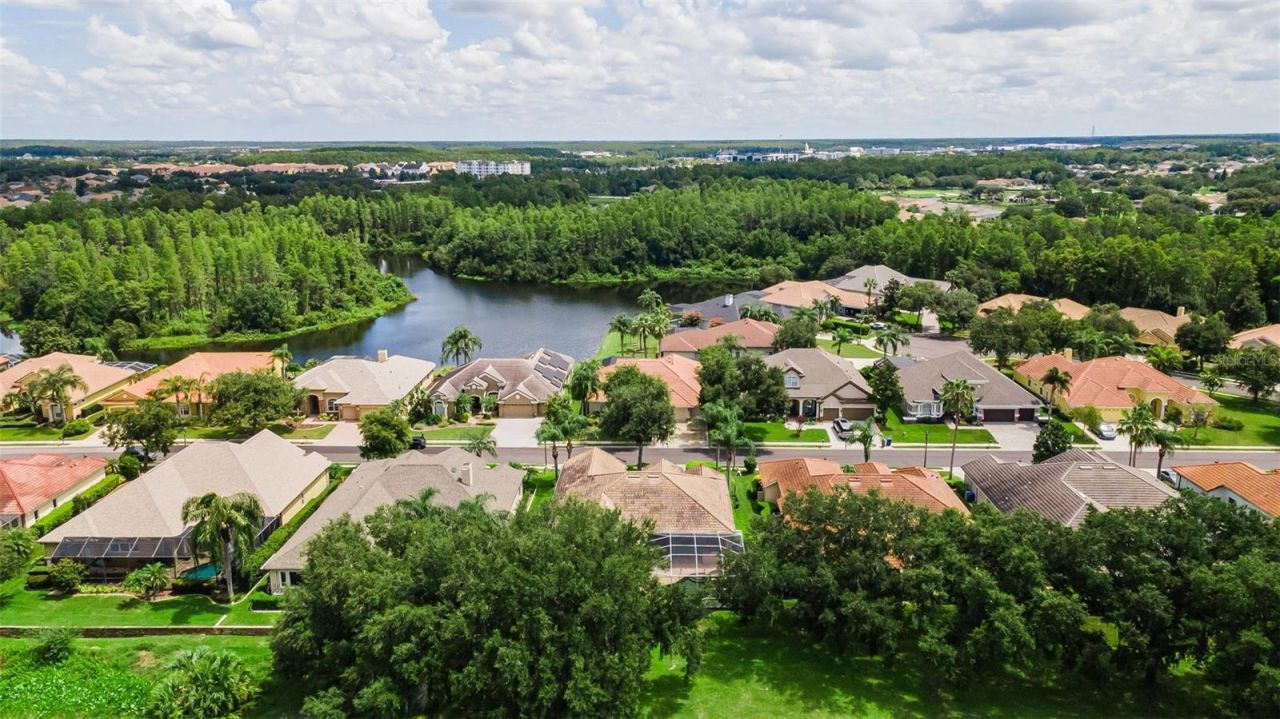 1453 El Pardo Drive, Trinity, FL 34655 Photo