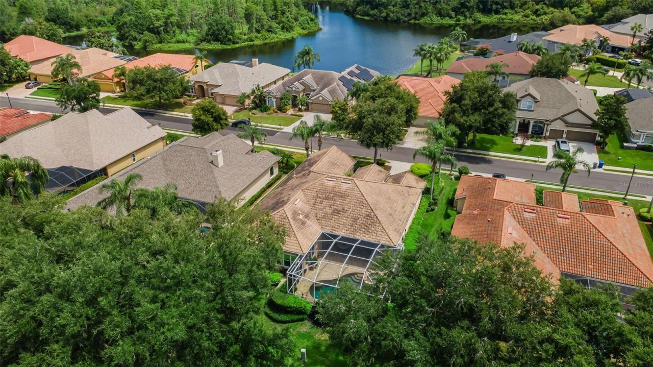1453 El Pardo Drive, Trinity, FL 34655 Photo