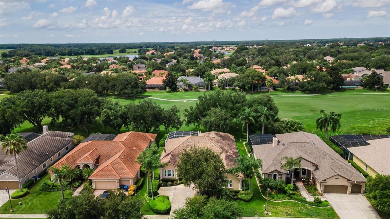 1453 El Pardo Drive, Trinity, FL 34655 Photo