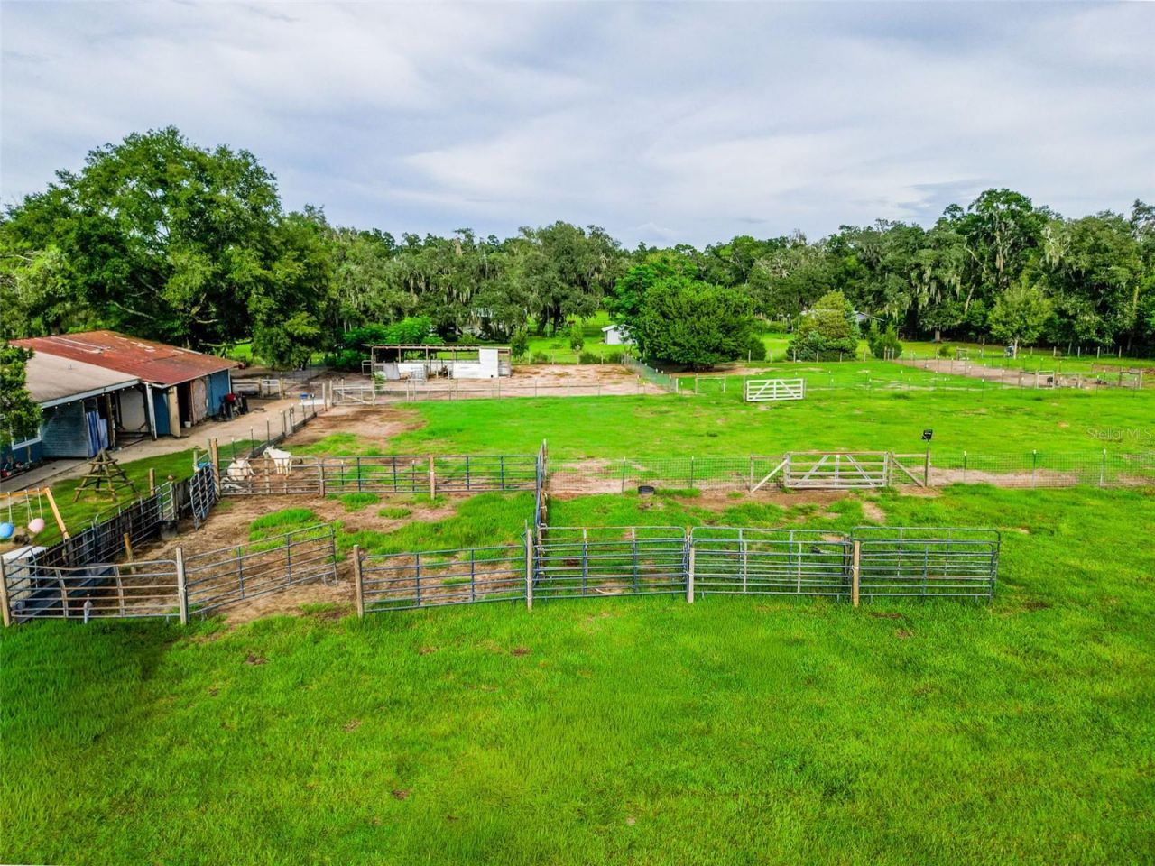 16736 Powerline Road, Dade City, FL 33523 Photo