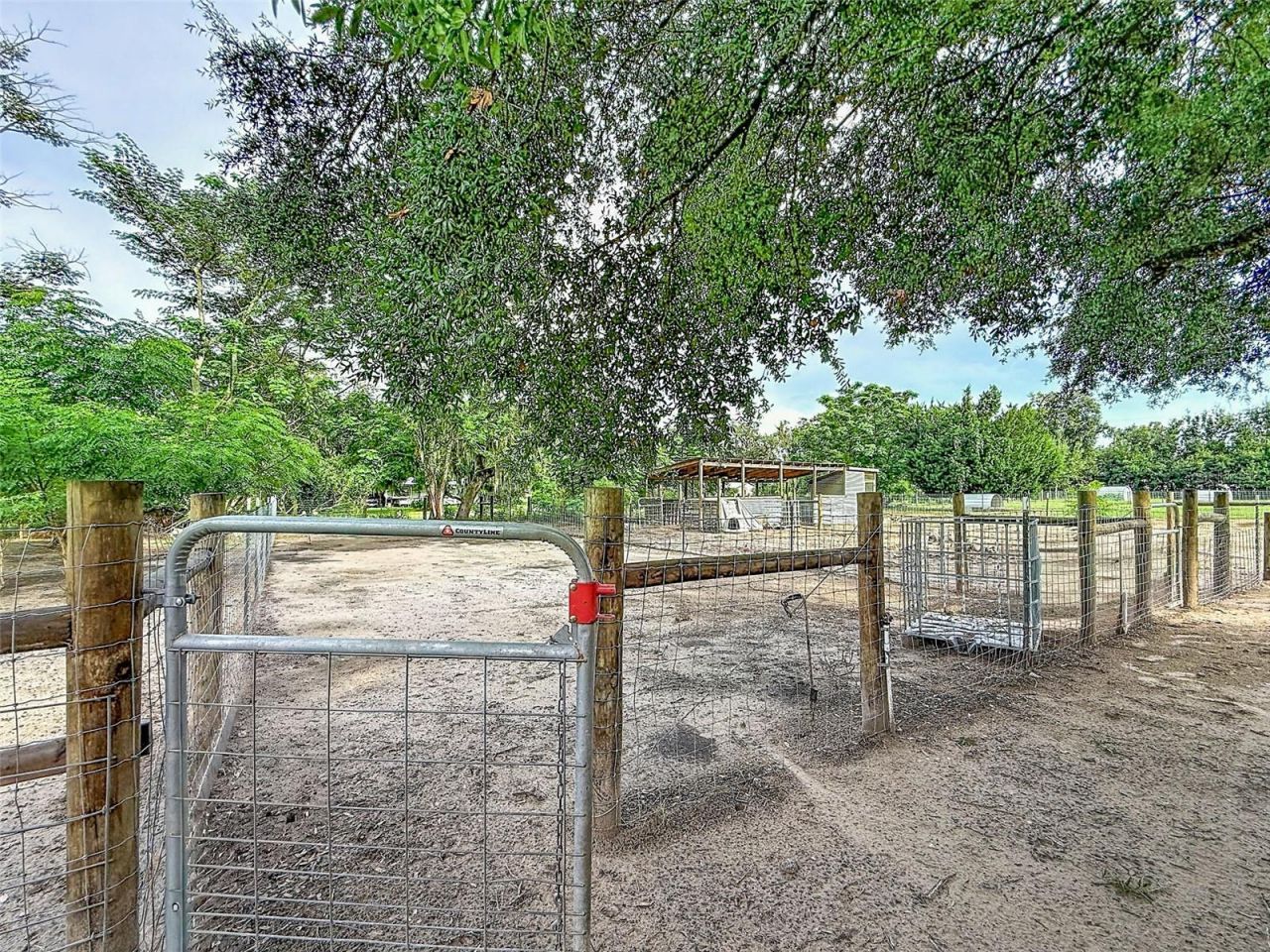 16736 Powerline Road, Dade City, FL 33523 Photo