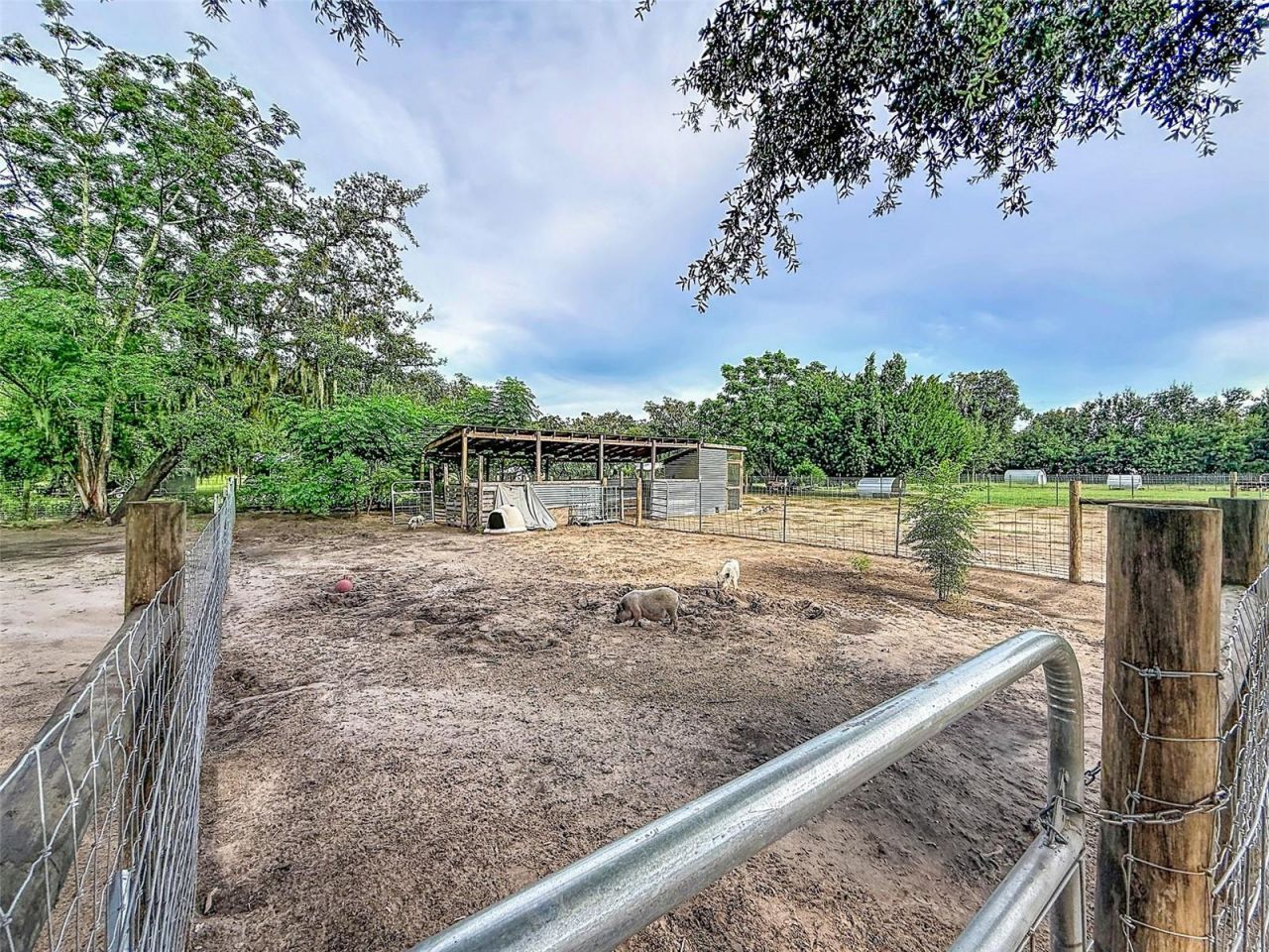 16736 Powerline Road, Dade City, FL 33523 Photo