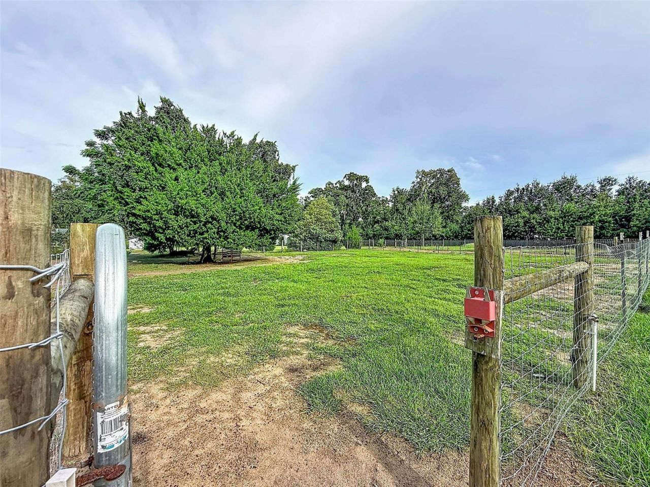 16736 Powerline Road, Dade City, FL 33523 Photo