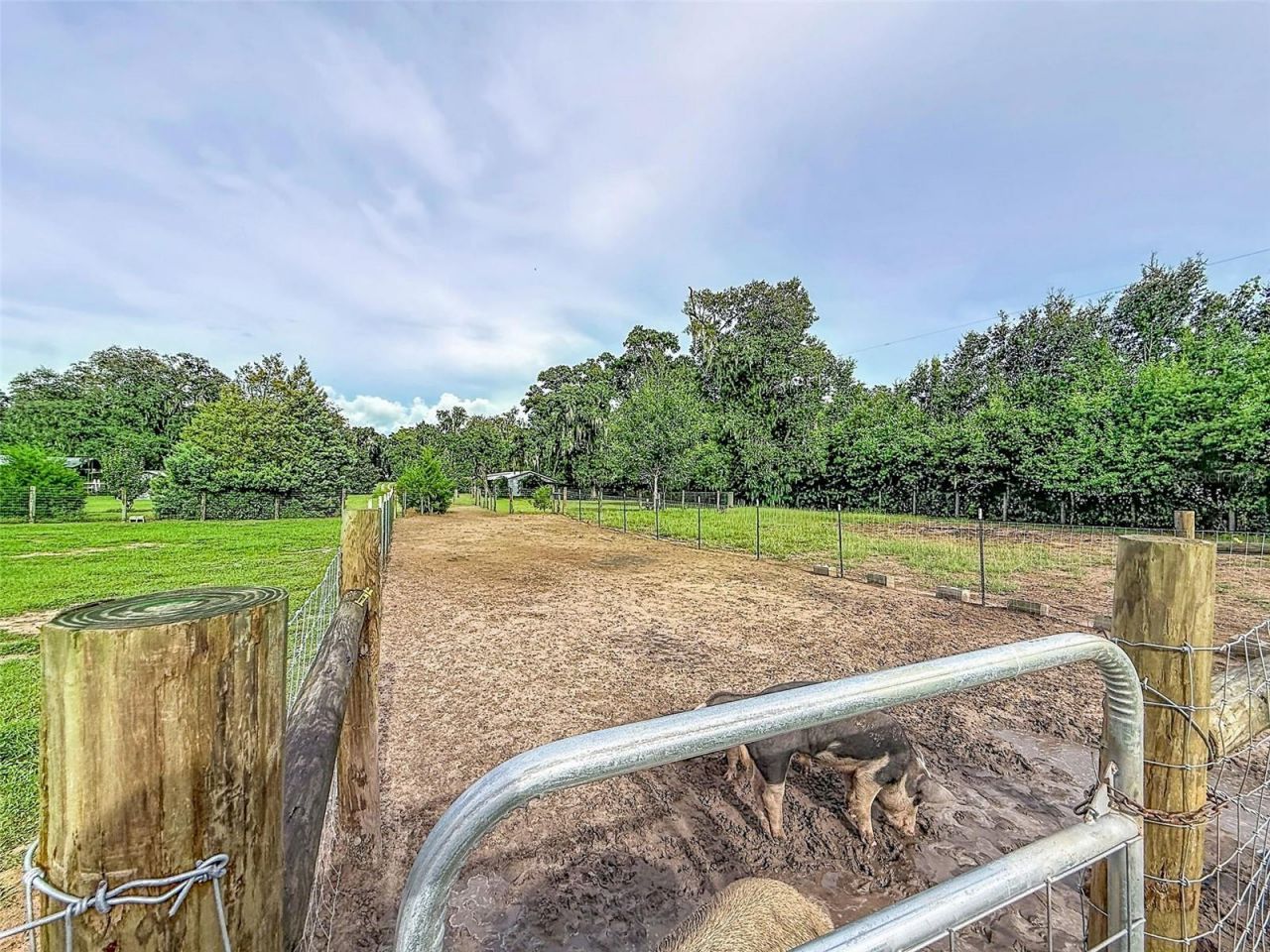 16736 Powerline Road, Dade City, FL 33523 Photo