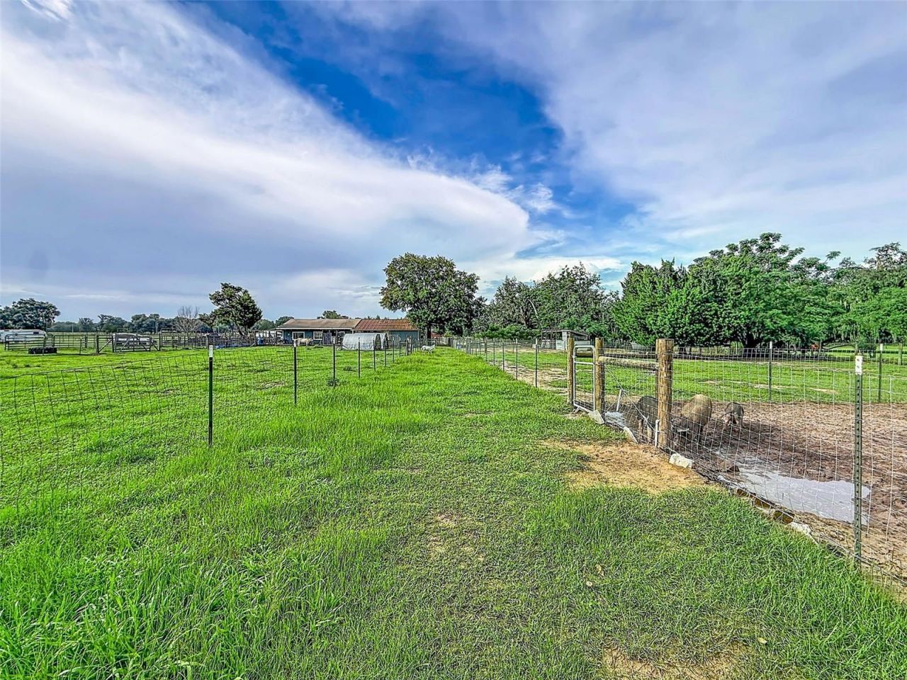 16736 Powerline Road, Dade City, FL 33523 Photo