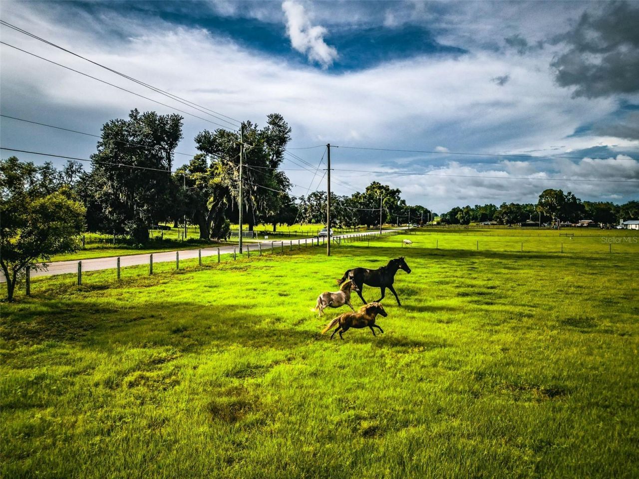 16736 Powerline Road, Dade City, FL 33523 Photo