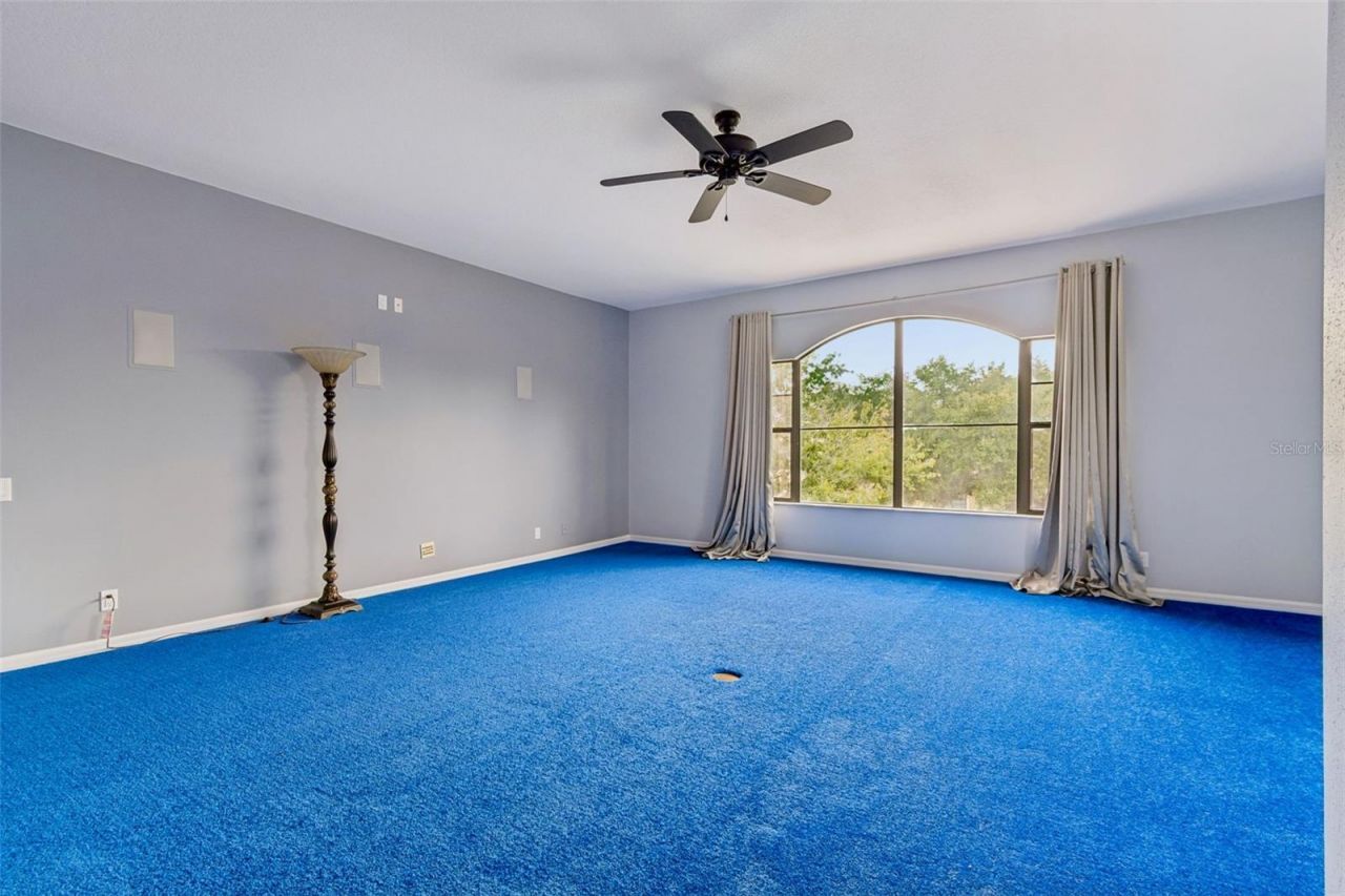 15630 N Himes Avenue, Tampa, FL 33618 Photo