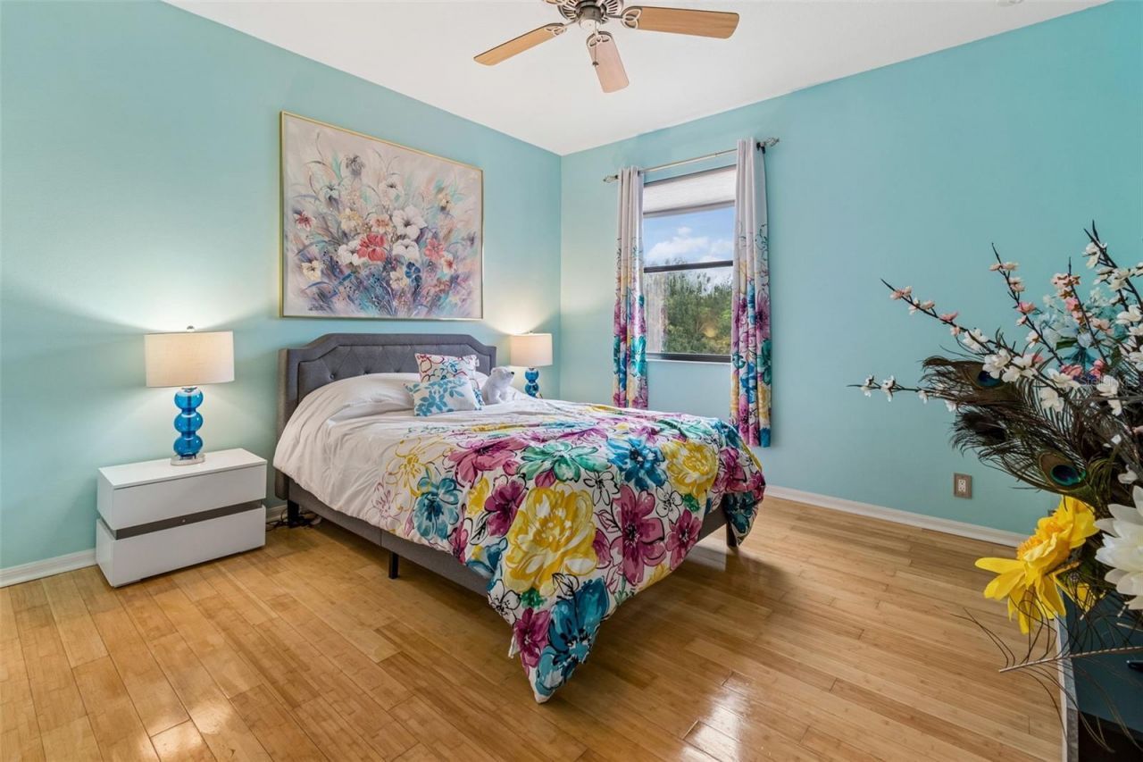 15630 N Himes Avenue, Tampa, FL 33618 Photo