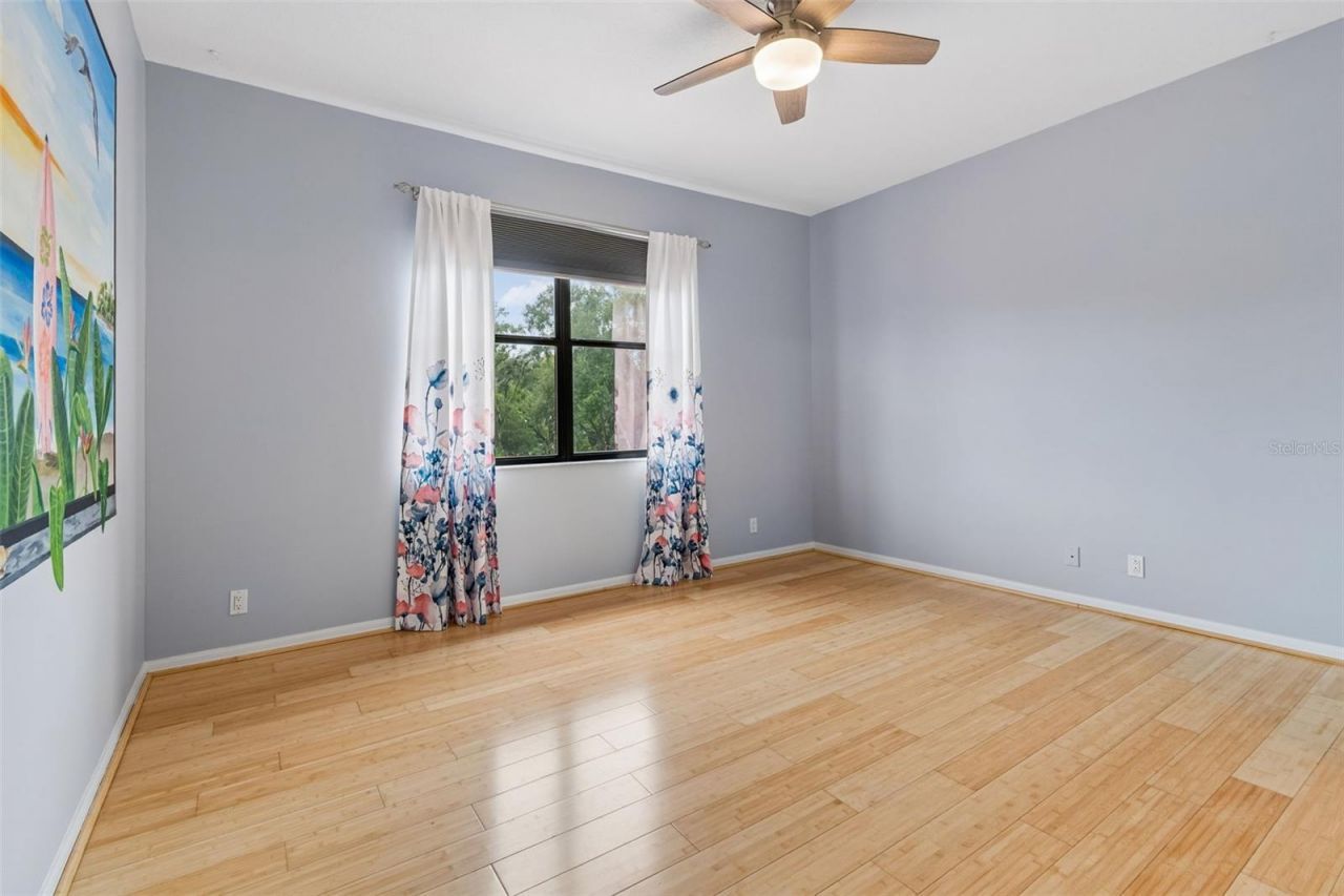 15630 N Himes Avenue, Tampa, FL 33618 Photo