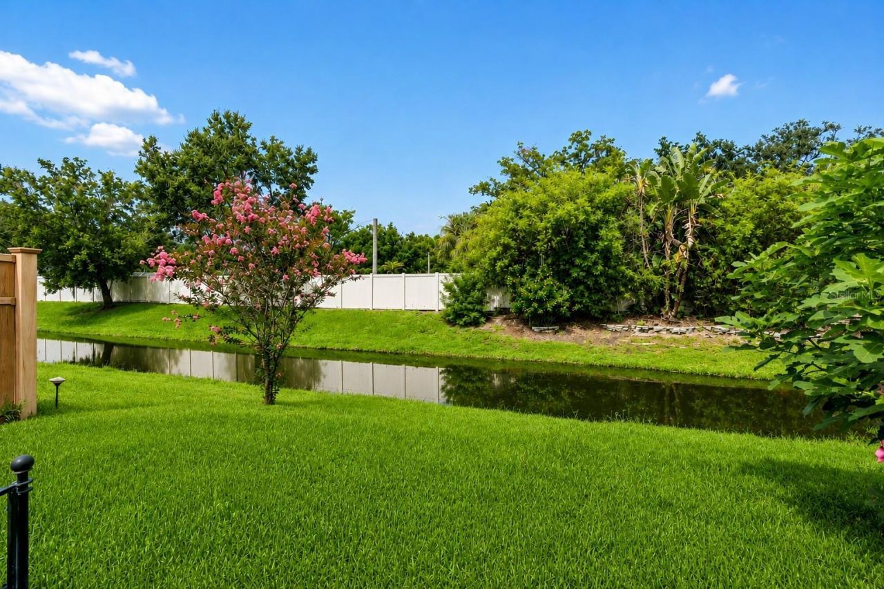 15630 N Himes Avenue, Tampa, FL 33618 Photo