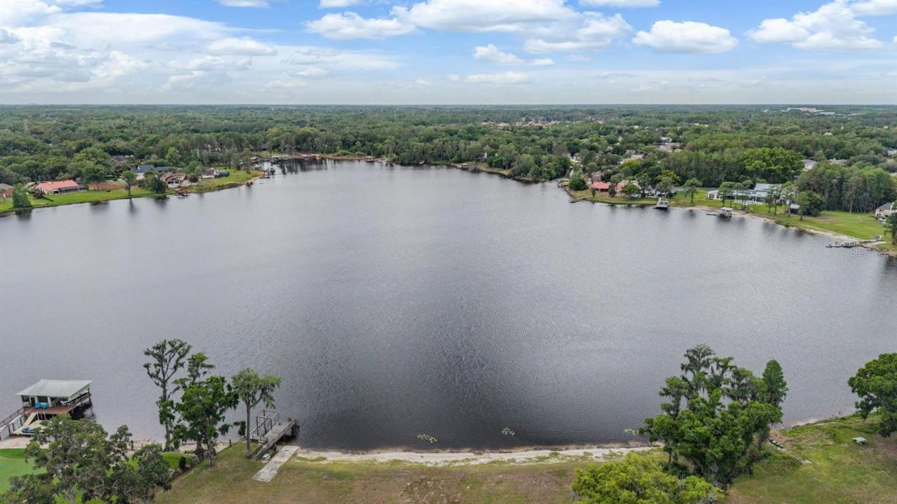 215 Lake Brant Drive, Lutz, FL 33548 Photo