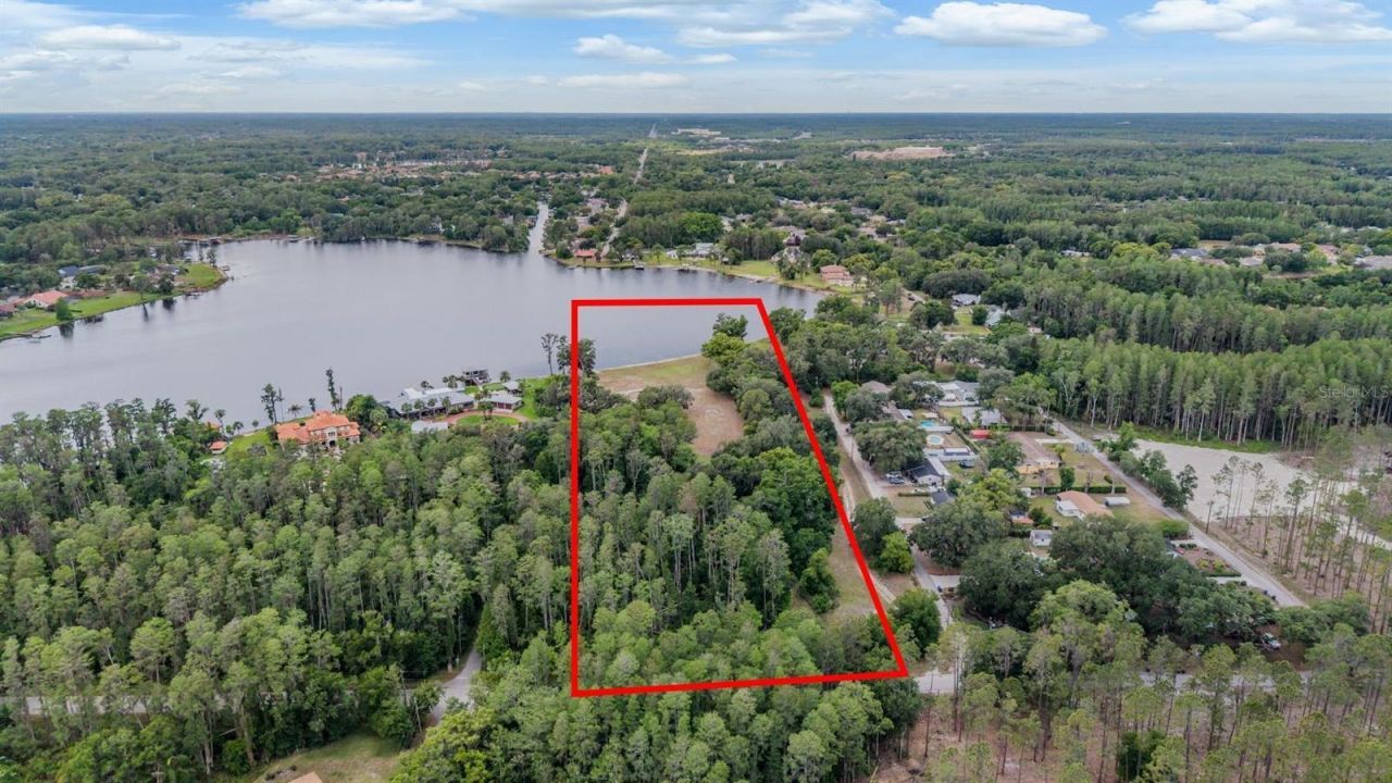 215 Lake Brant Drive, Lutz, FL 33548 Photo