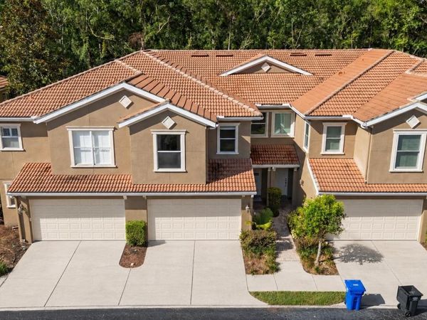 4920 ANNISTON CIRCLE , TAMPA, FL 33647